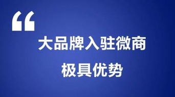 阿土伯网专业信息技术咨询服务在长沙岳麓区热卖促销